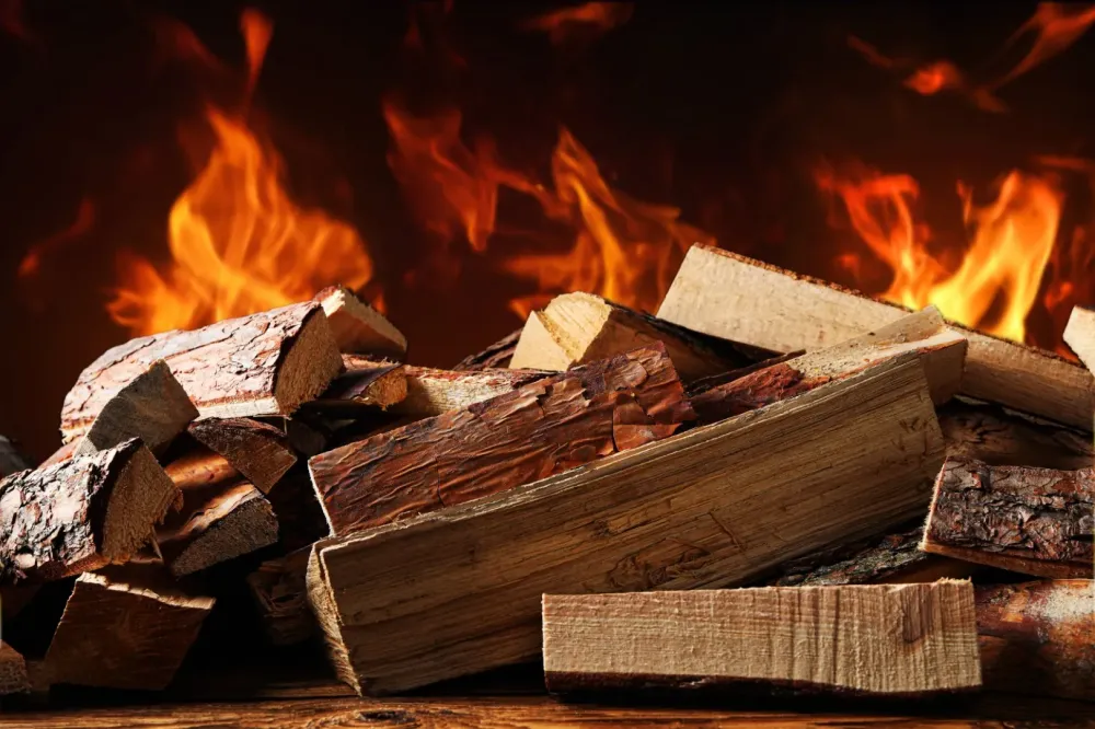 bois de chauffage (1)